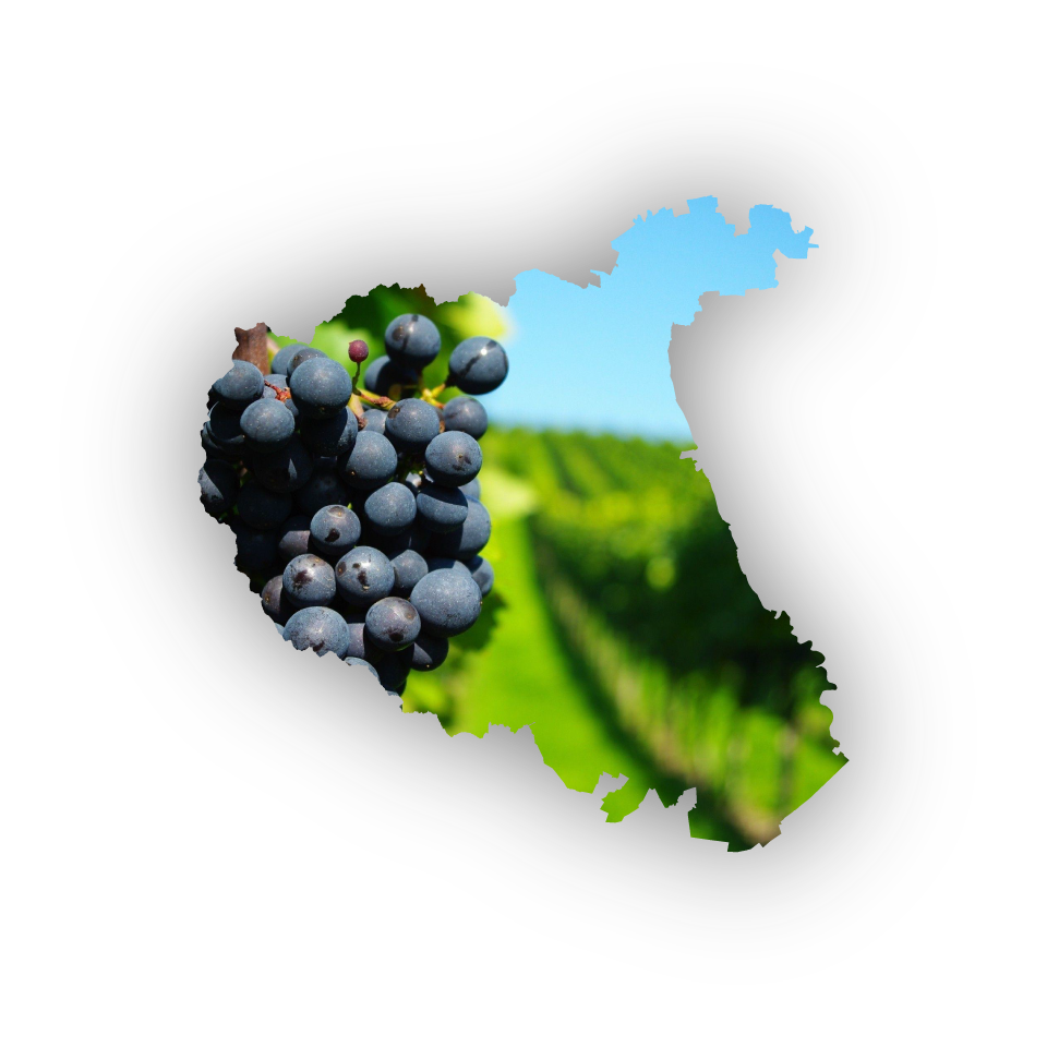 harta-vrancea