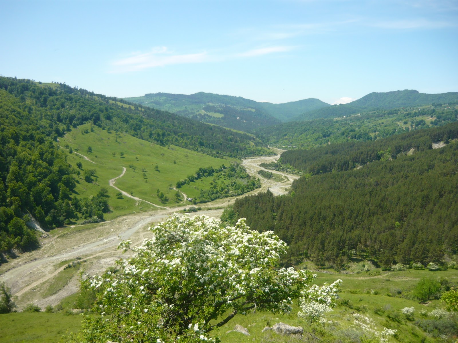 valea ramnicului